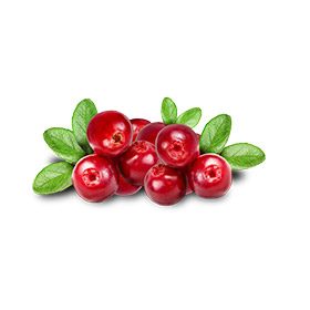 cranberry